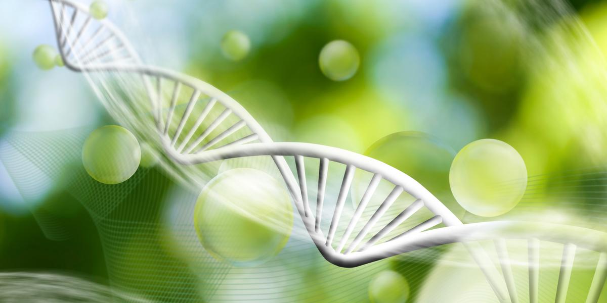 Hebben we een match in ons gezamenlijke DNA?